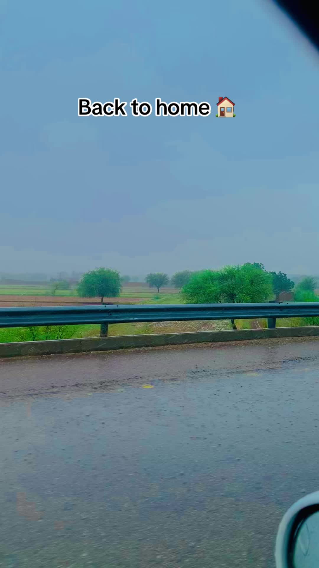 @پنجاب زادہ🌿