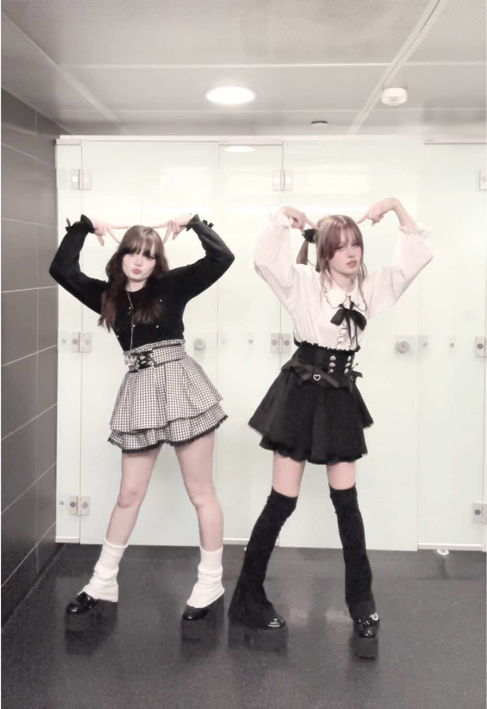 @vivz★彡