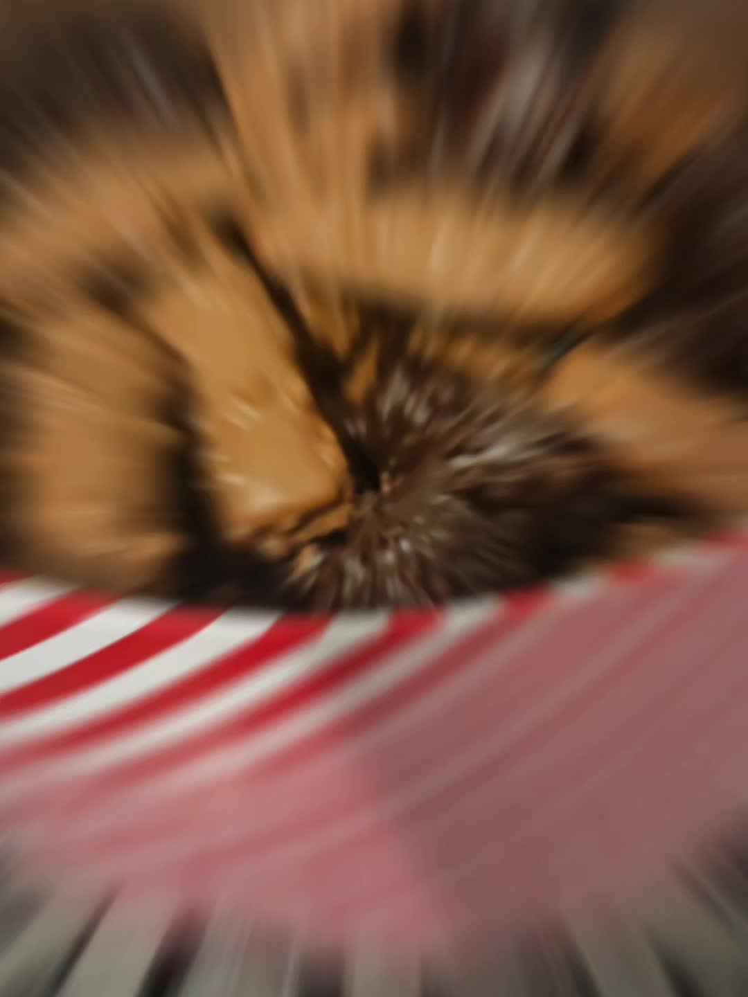 @Meine K&uuml;che 🍰 Moja Kuhinja