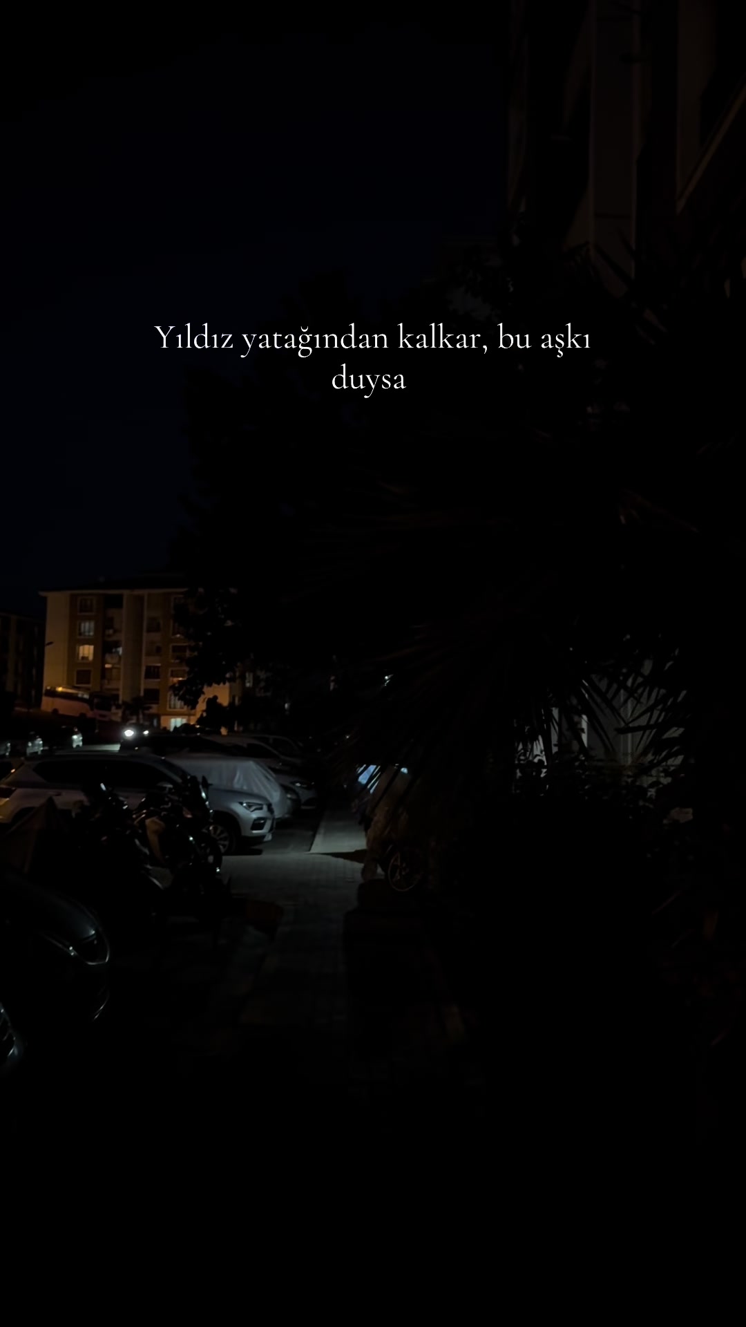 @turkdeepler