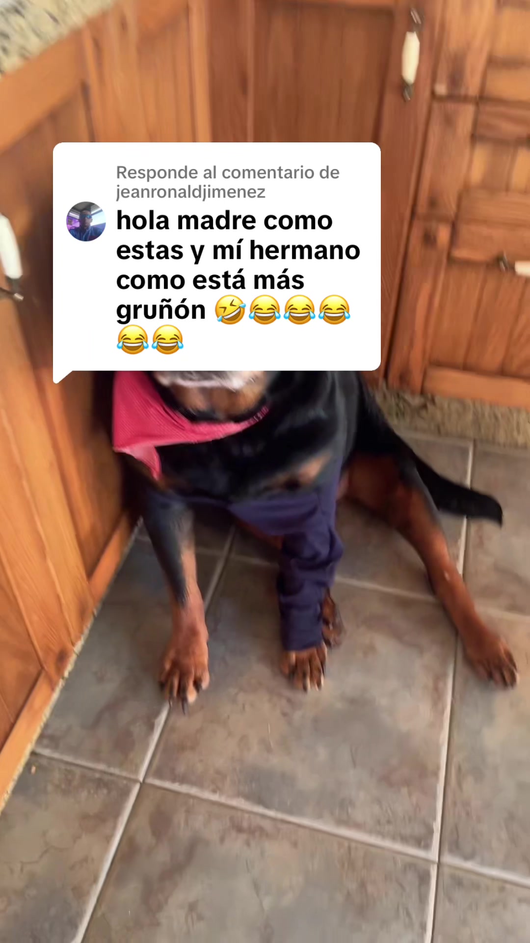 @Michacho💕💕