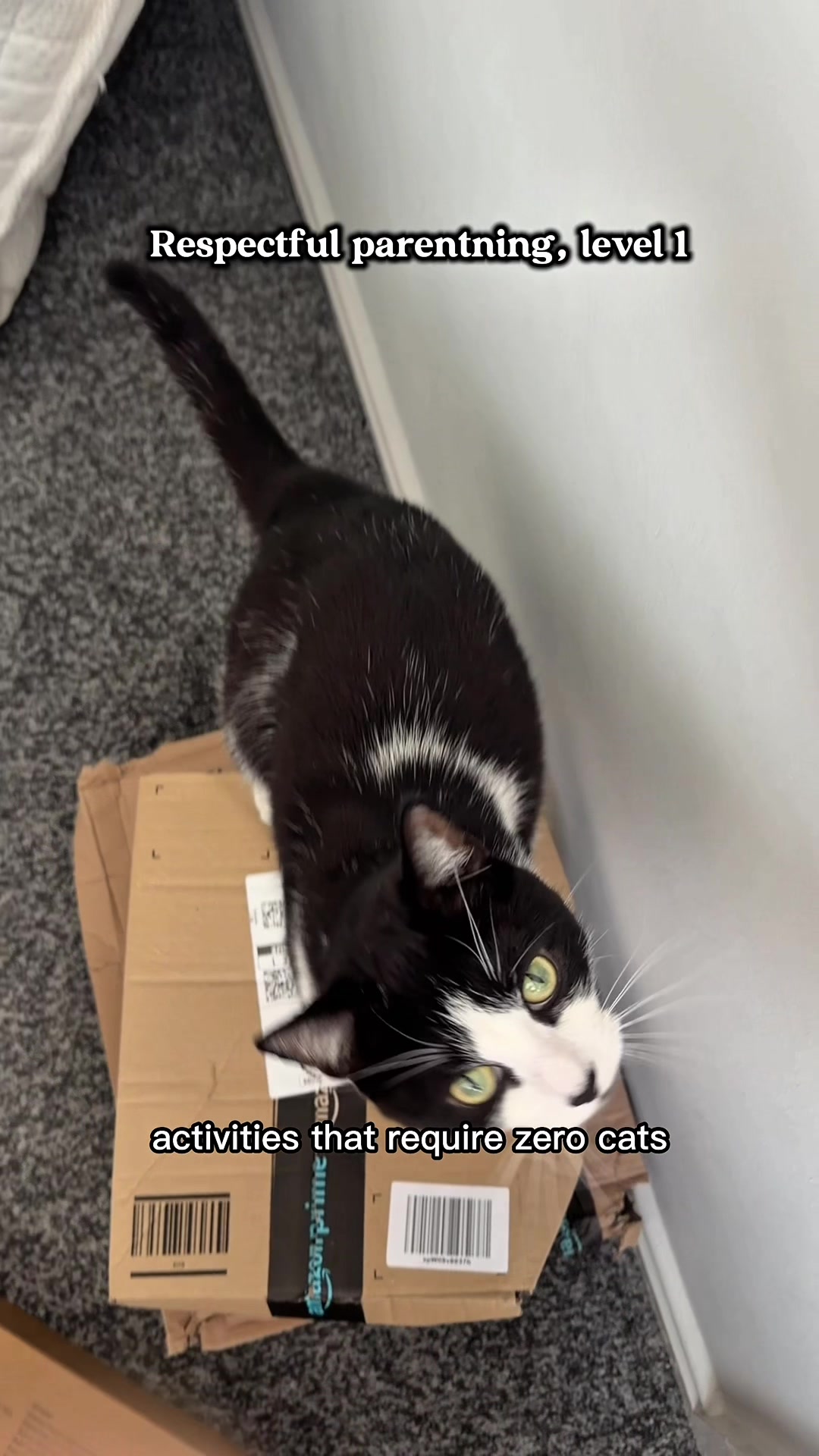 @slavic_cat_mum