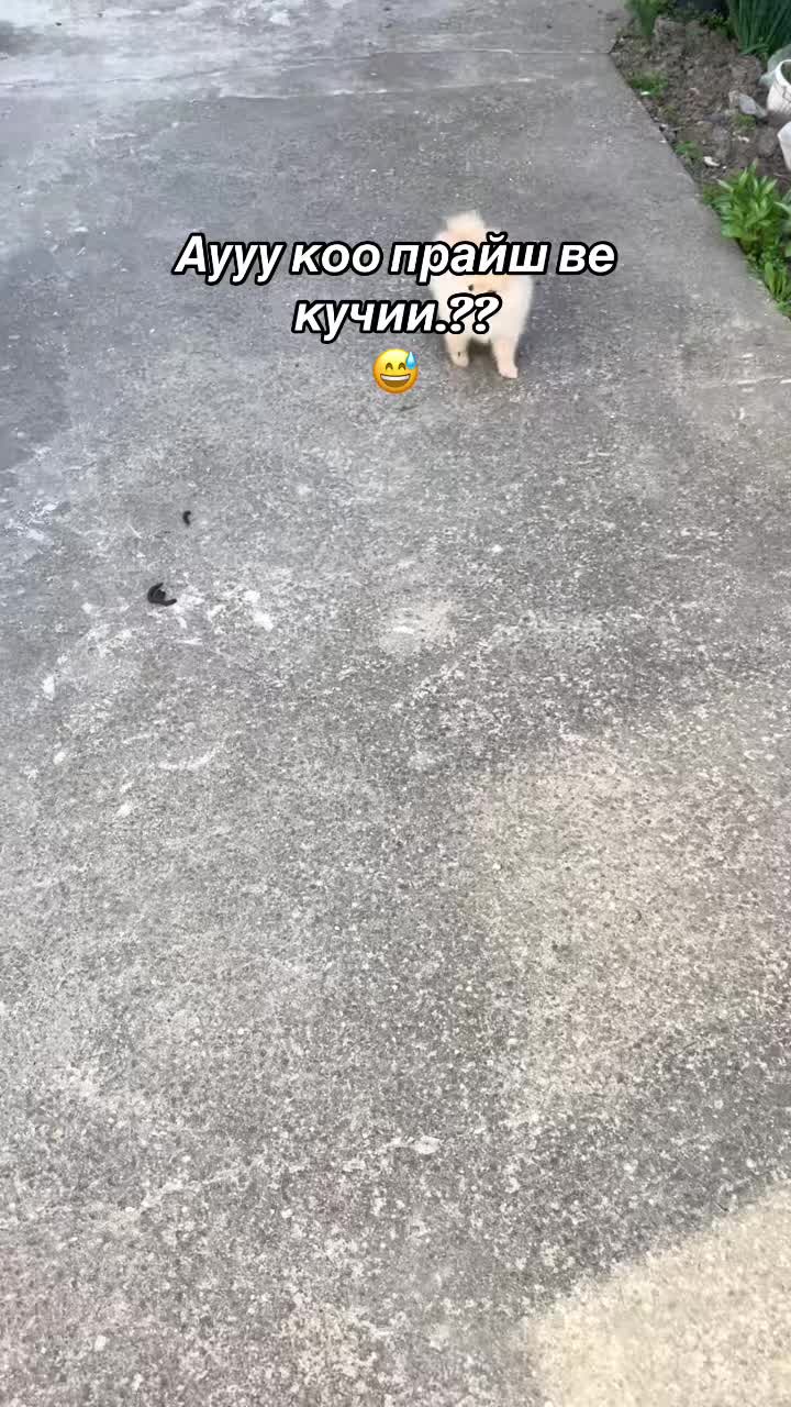 @“🧸_Yosif_d_🧸”