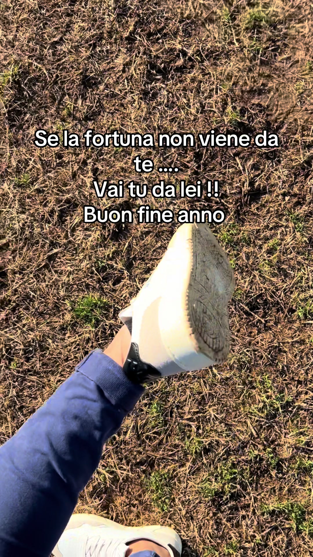 @Marzia colomboo