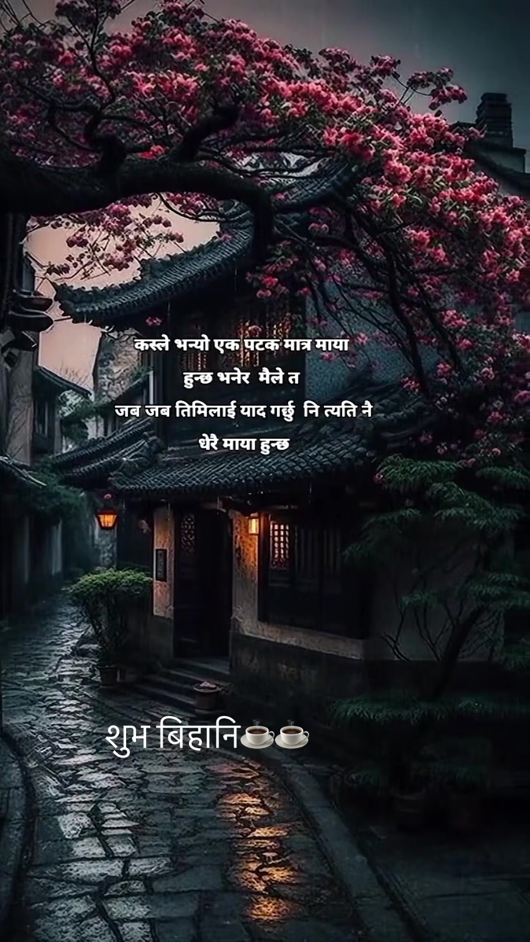 @numalimbu💞