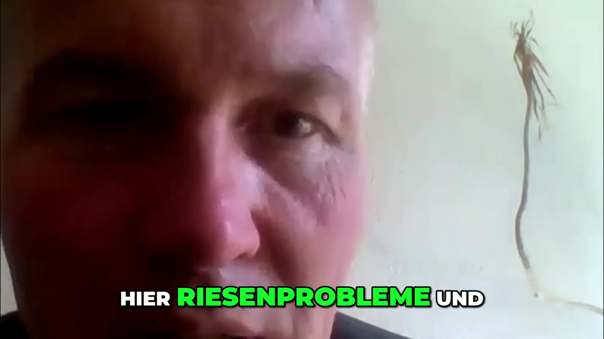 @ROHPOLITIKDE