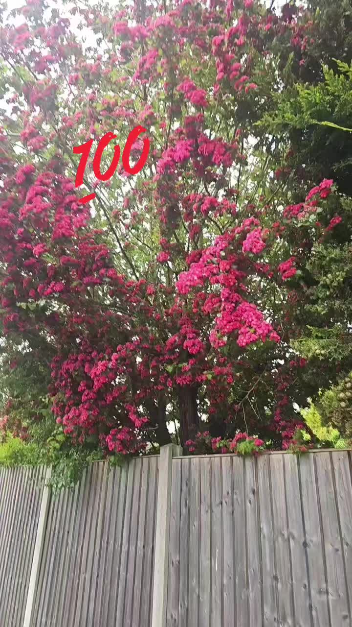 @👑MAHI 💞