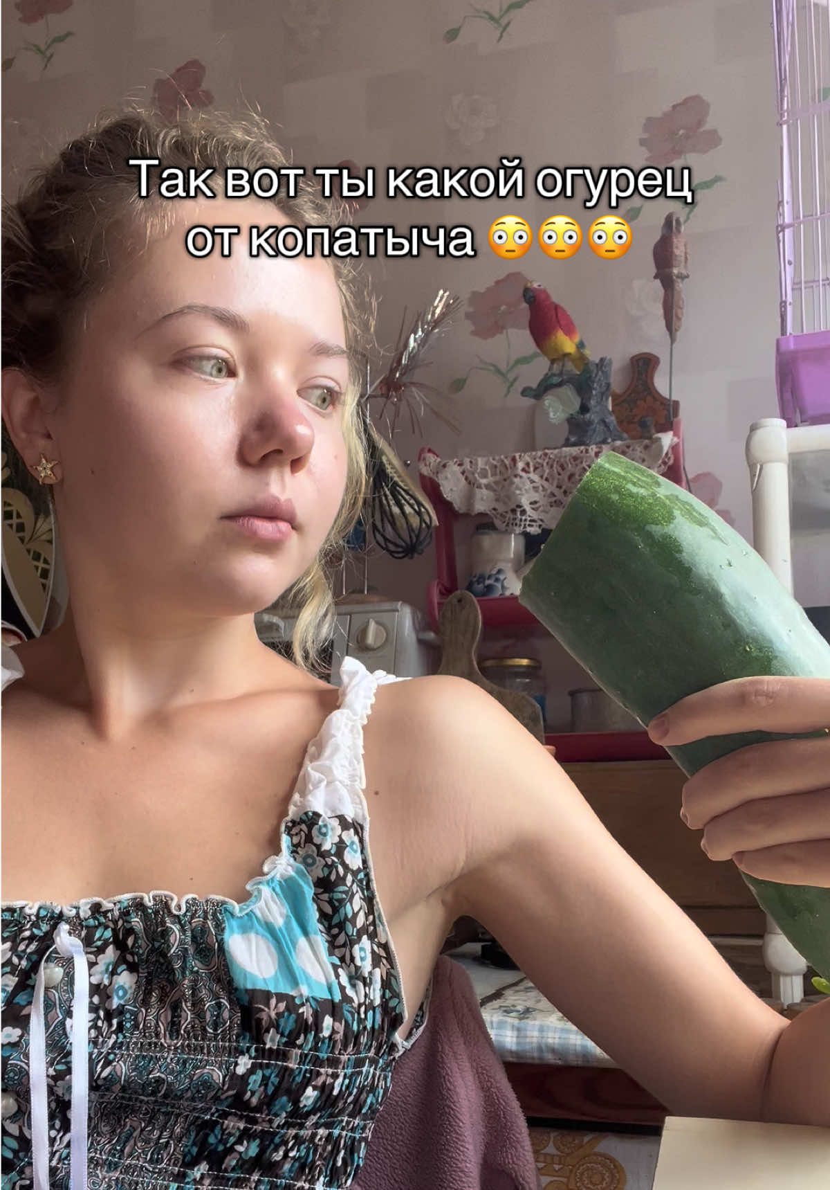 @svetic.story