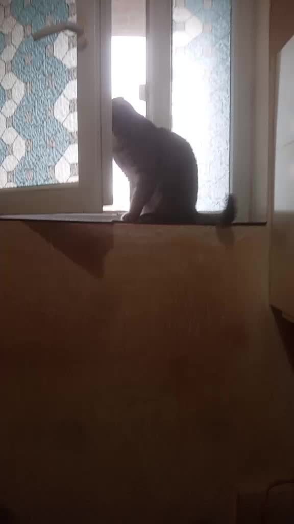 @livos50