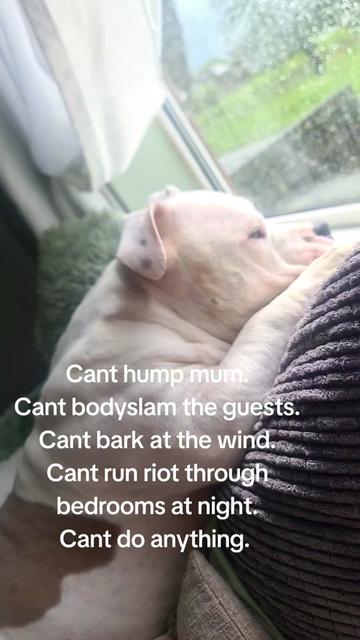 @🦋Nanny_mct 🦋