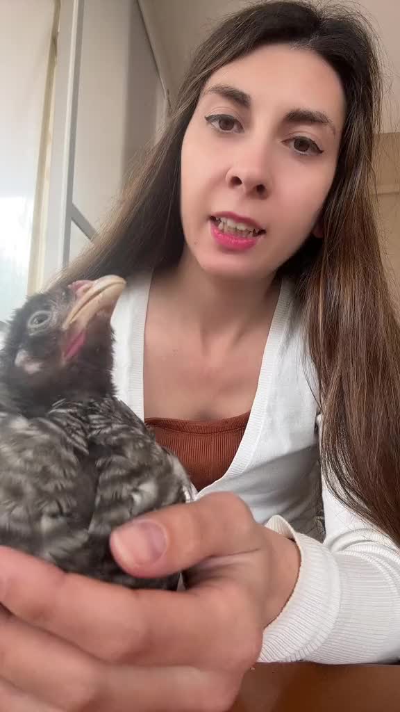 @Jenny Vlachou