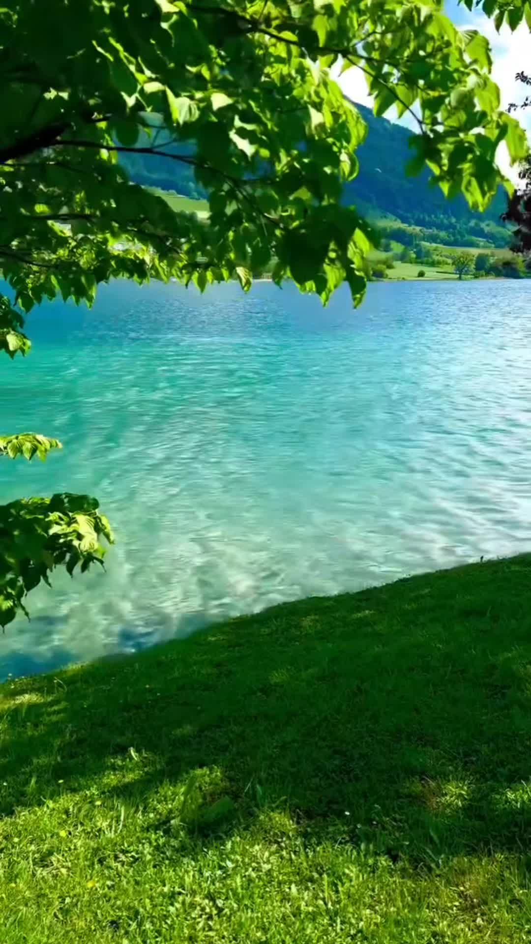 @frdricdeshayes6