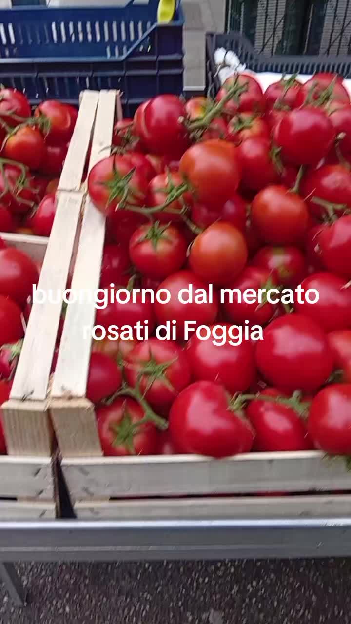 @mariodantonio7