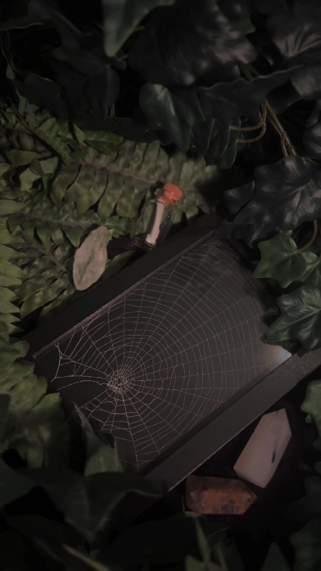 @🕸️𝖜𝖊𝖇𝖘 𝖇𝖞 𝖒𝖊𝖌𝖟🕸️