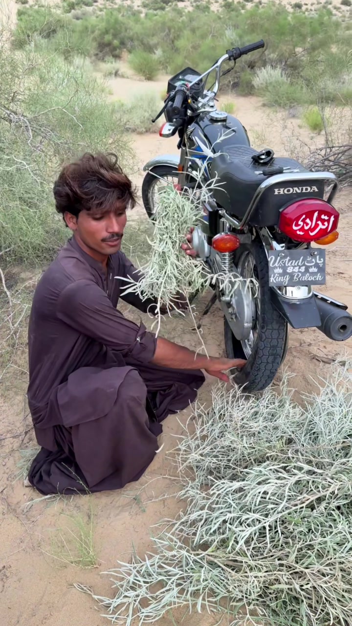 @OsHaQuE RiDeR 🏍️🔥