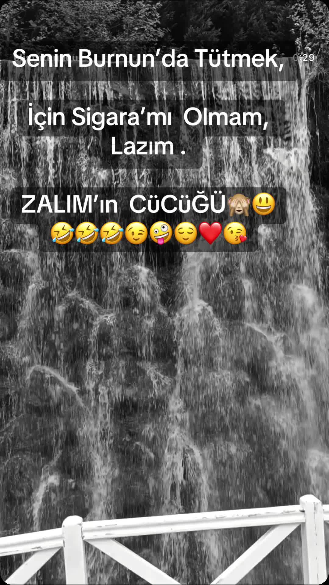 @✨🤍Ayliz_S🤍✨
