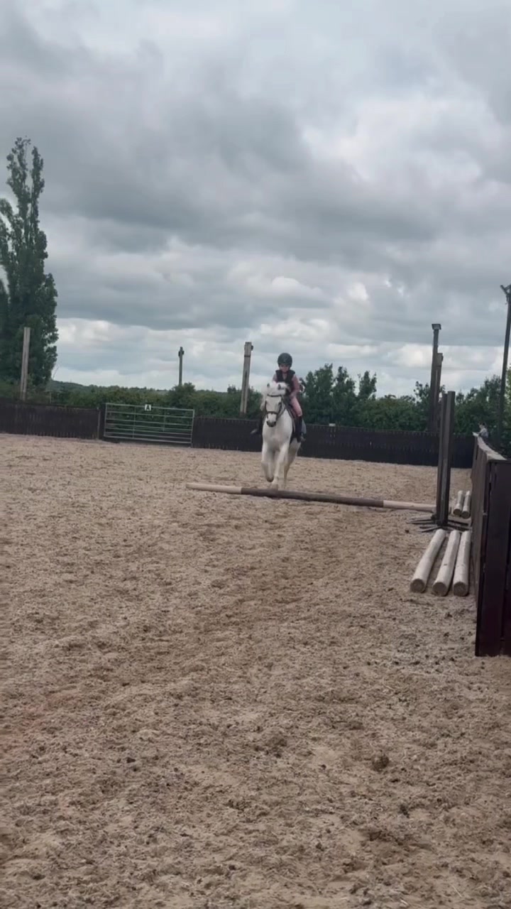 @LottiesHorseAdventures🦄🐴