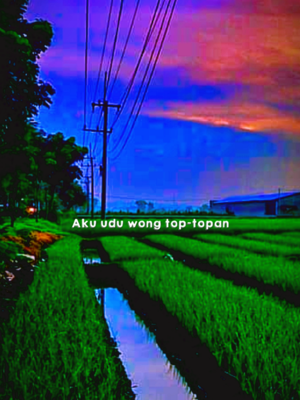 @Arul Vlog