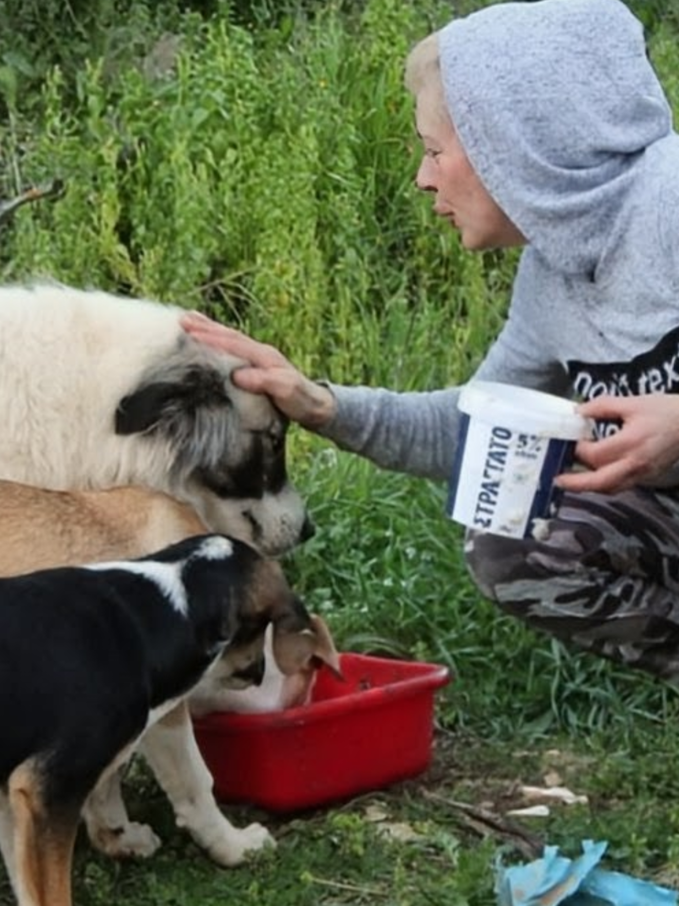 @Greek Animal Rescue