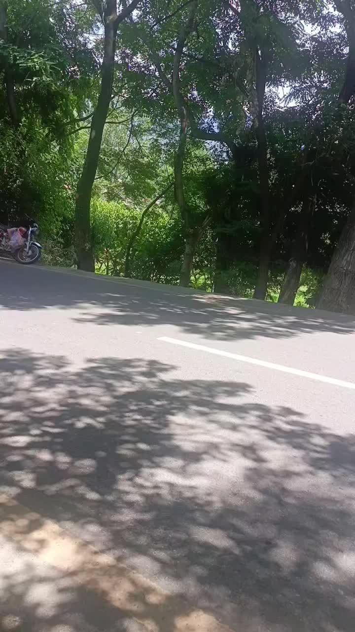 @AKhondi