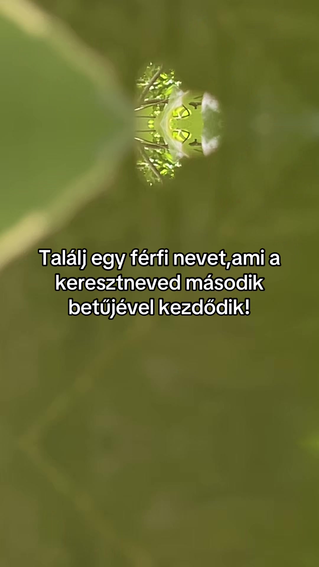 @Bizso, játssz velem naponta
