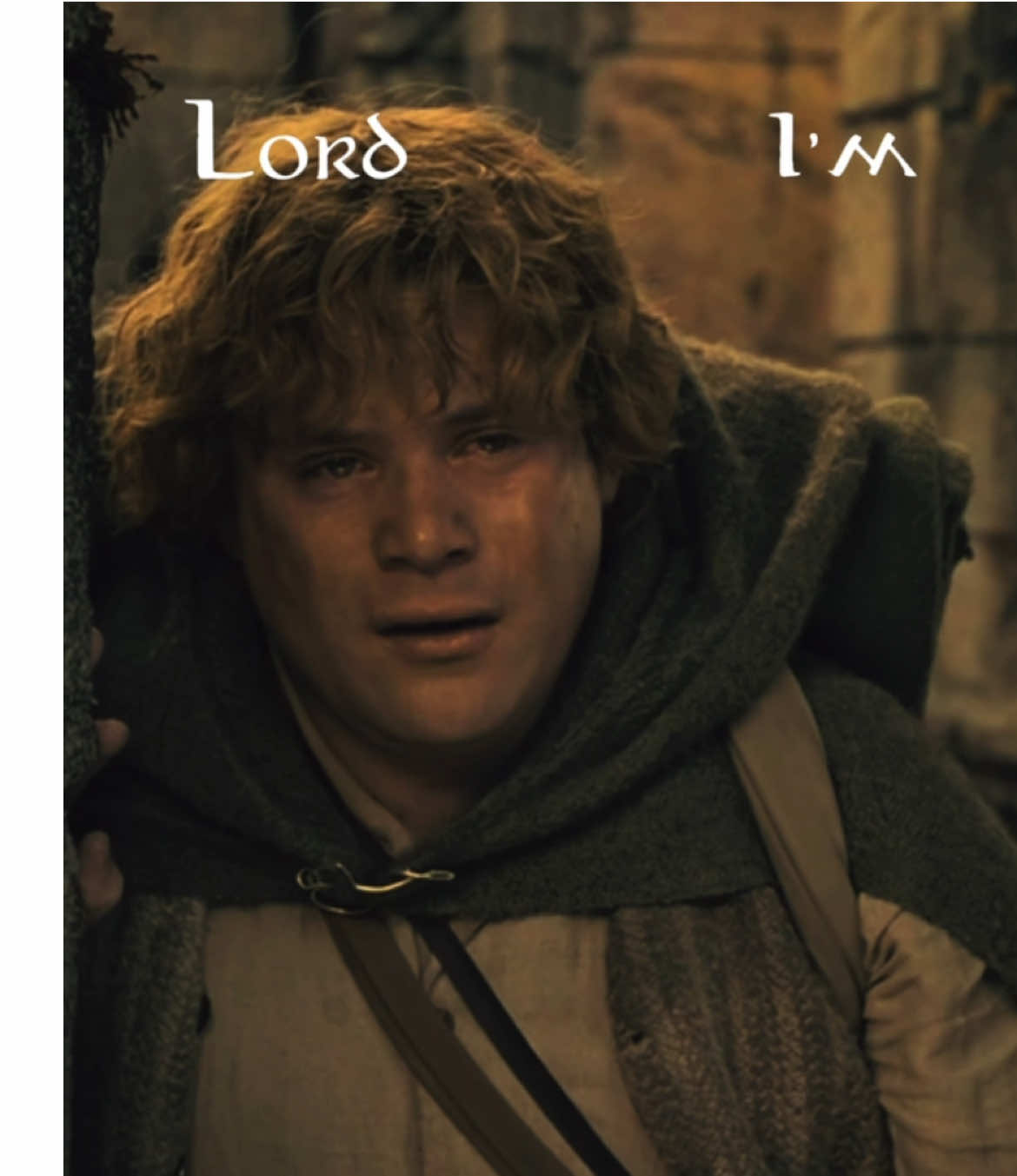 @✨Samwise the brave✨
