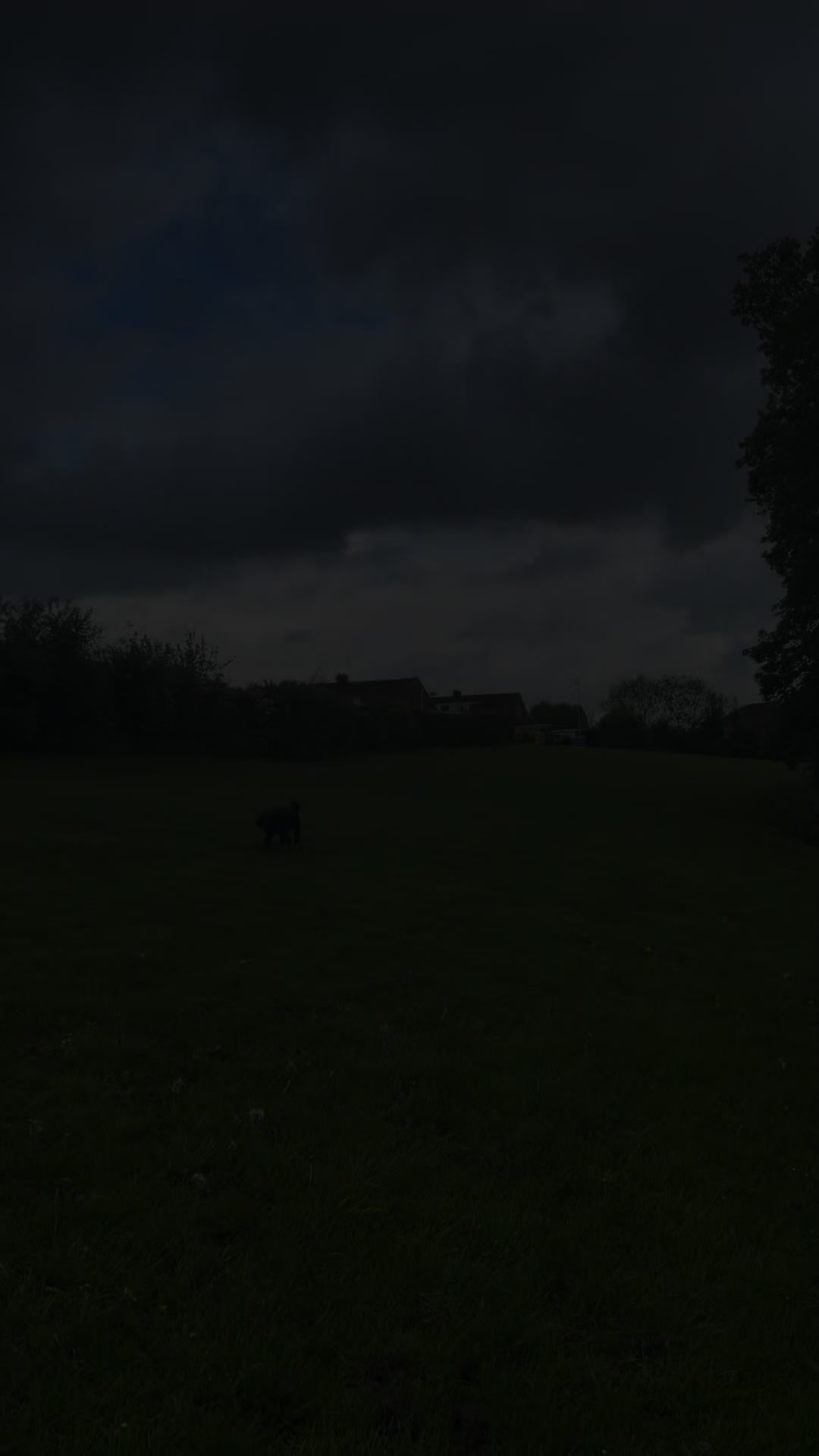 @PEPSI 🐾
