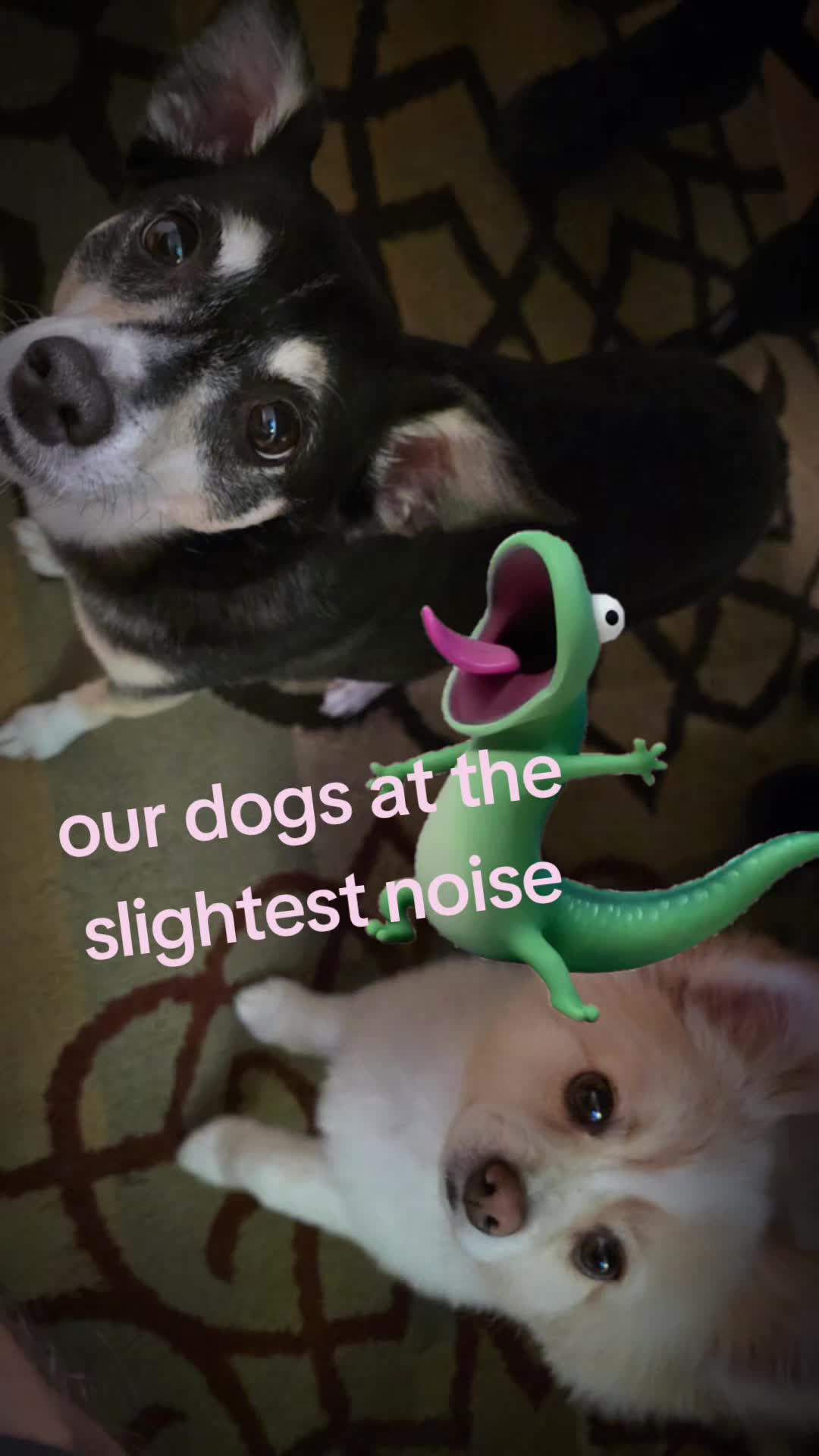 @gamegrubadventures