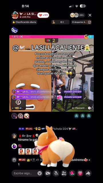 @🫡😎🇭🇳🐓El Pichula 504🐓🇺🇸