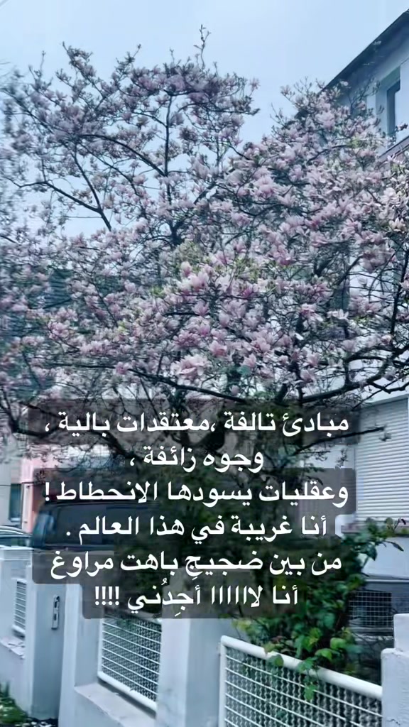 @بنت الساحل 🌺