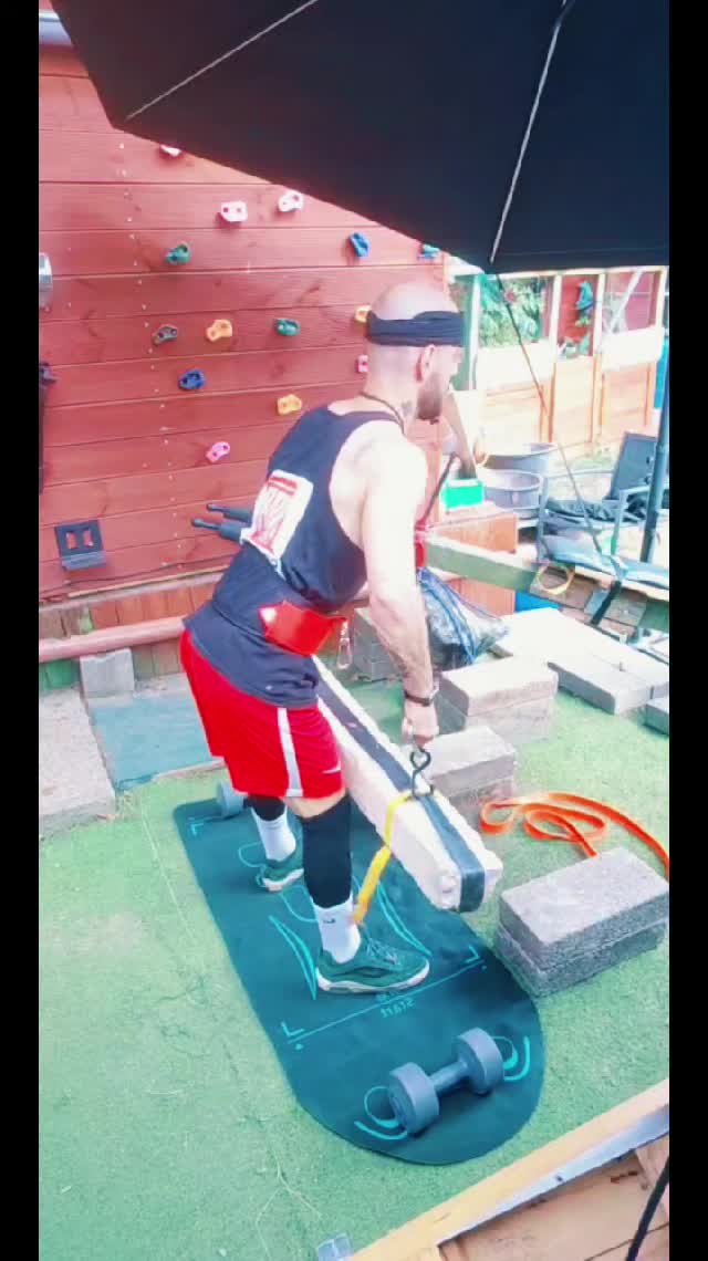 @Jhony - wolf alpha-fitness