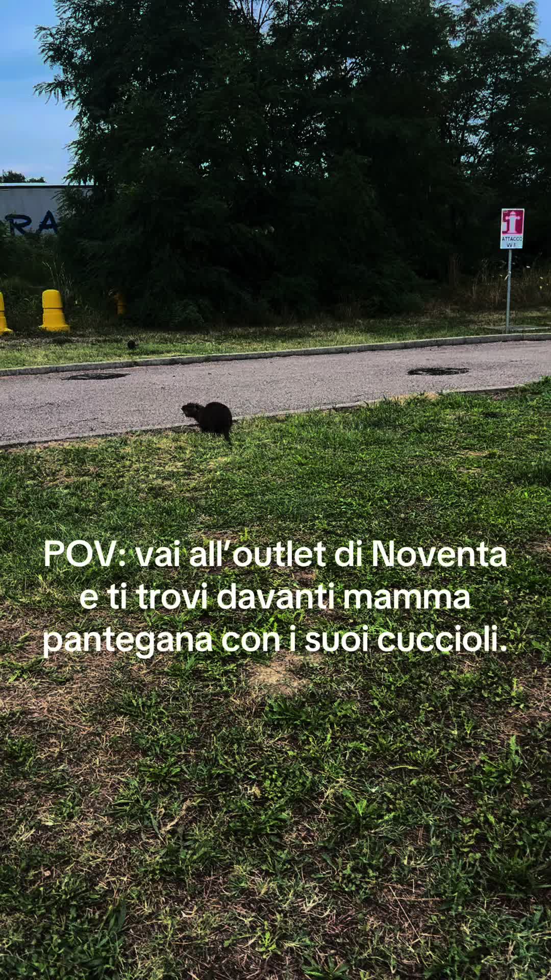 @Durdevic Laura