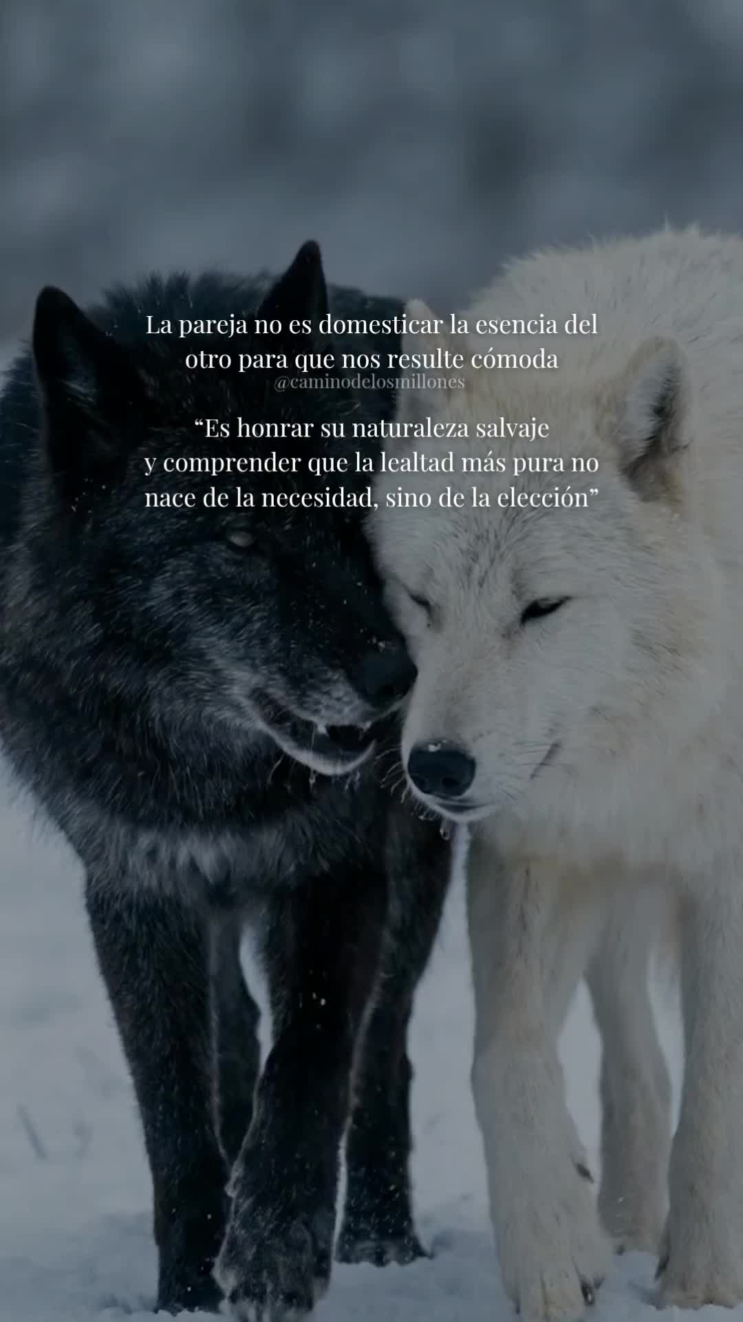 @caminodelosmillones
