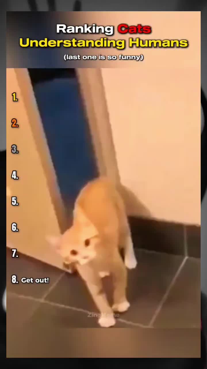 @immram