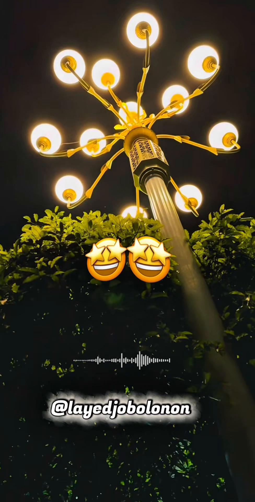 @layedjobolonon