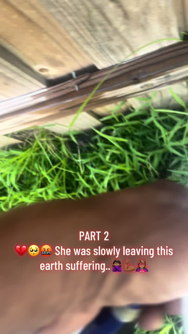 @GeeLegacy15