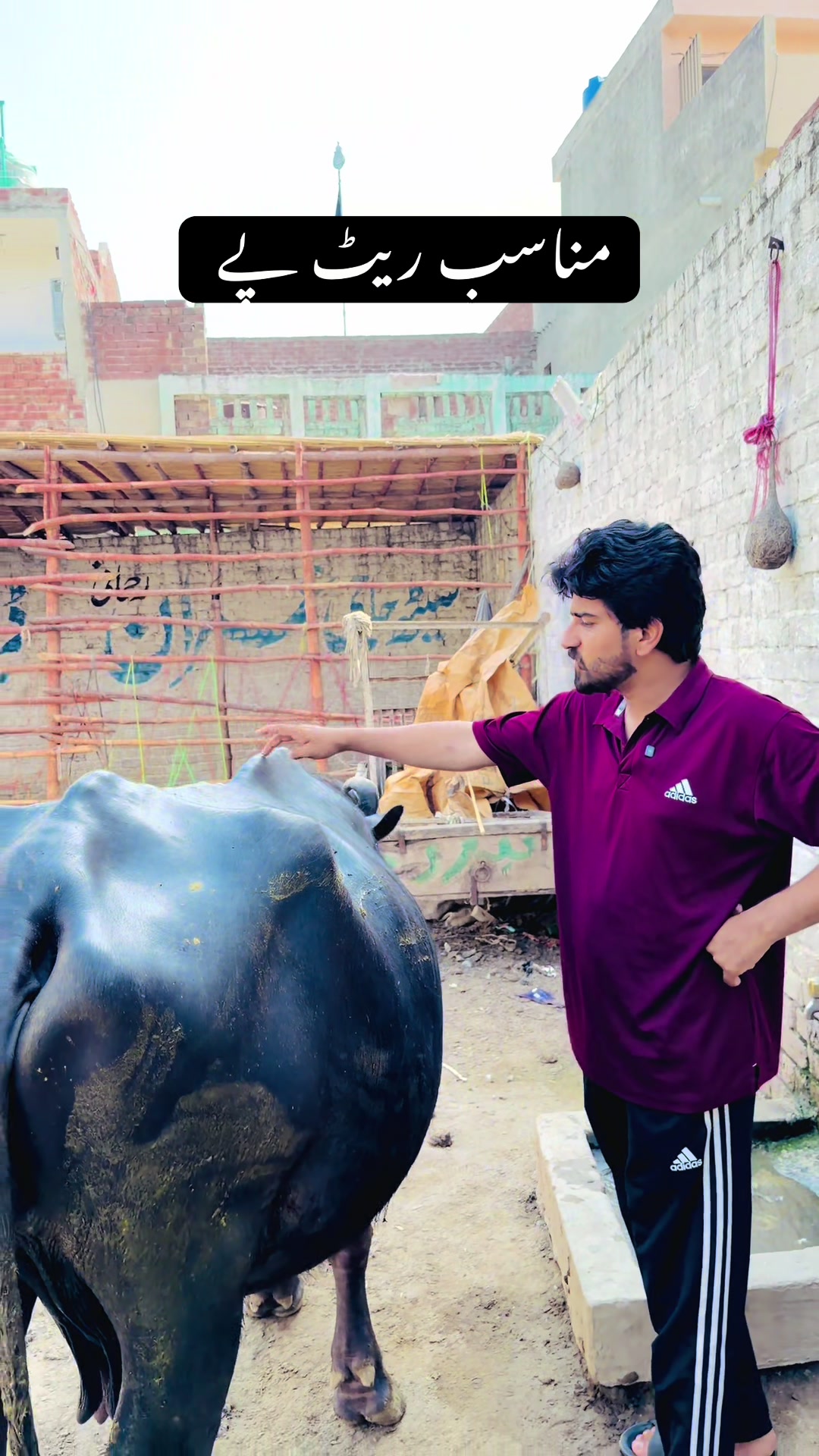 @ڈیرہ سیٹھ حسن شیخوپورہ