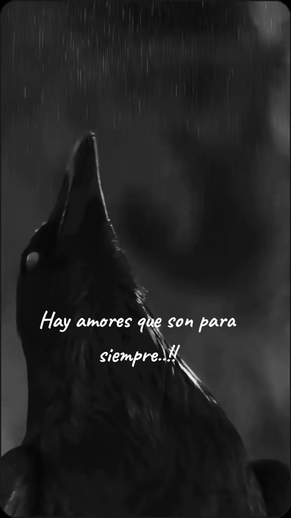 @Ammer Vicario Alaric