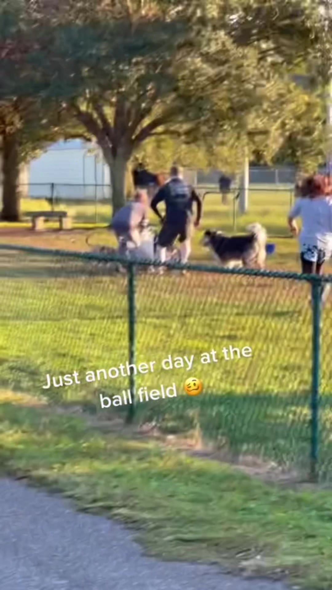 @SouthendDogTraining