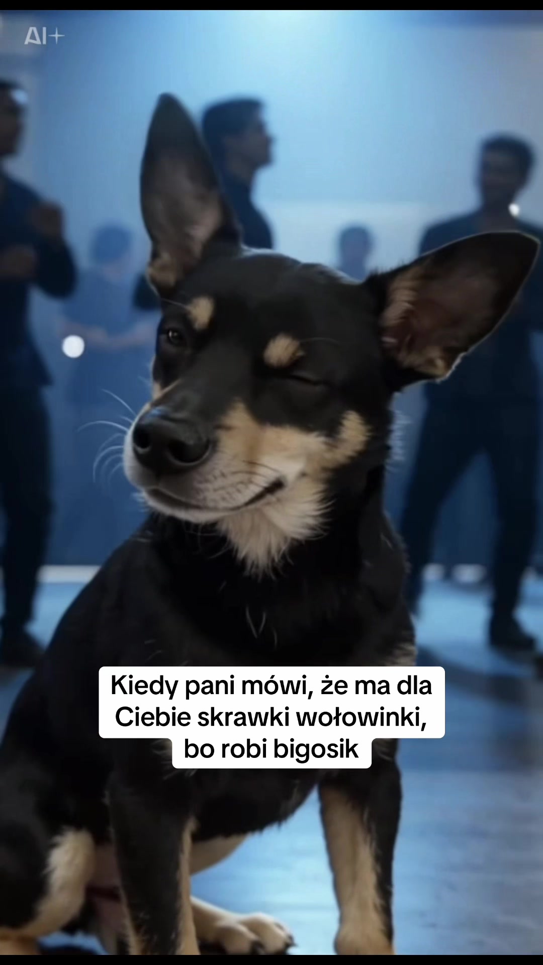 @Zofka