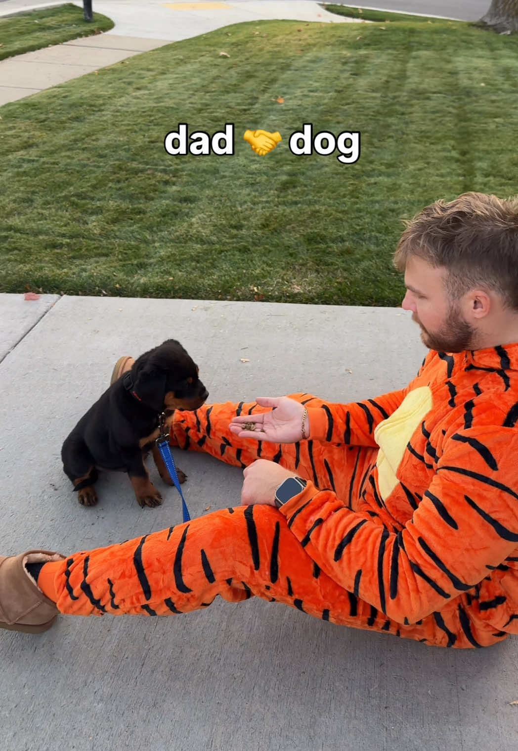 @Rex the Rottweiler