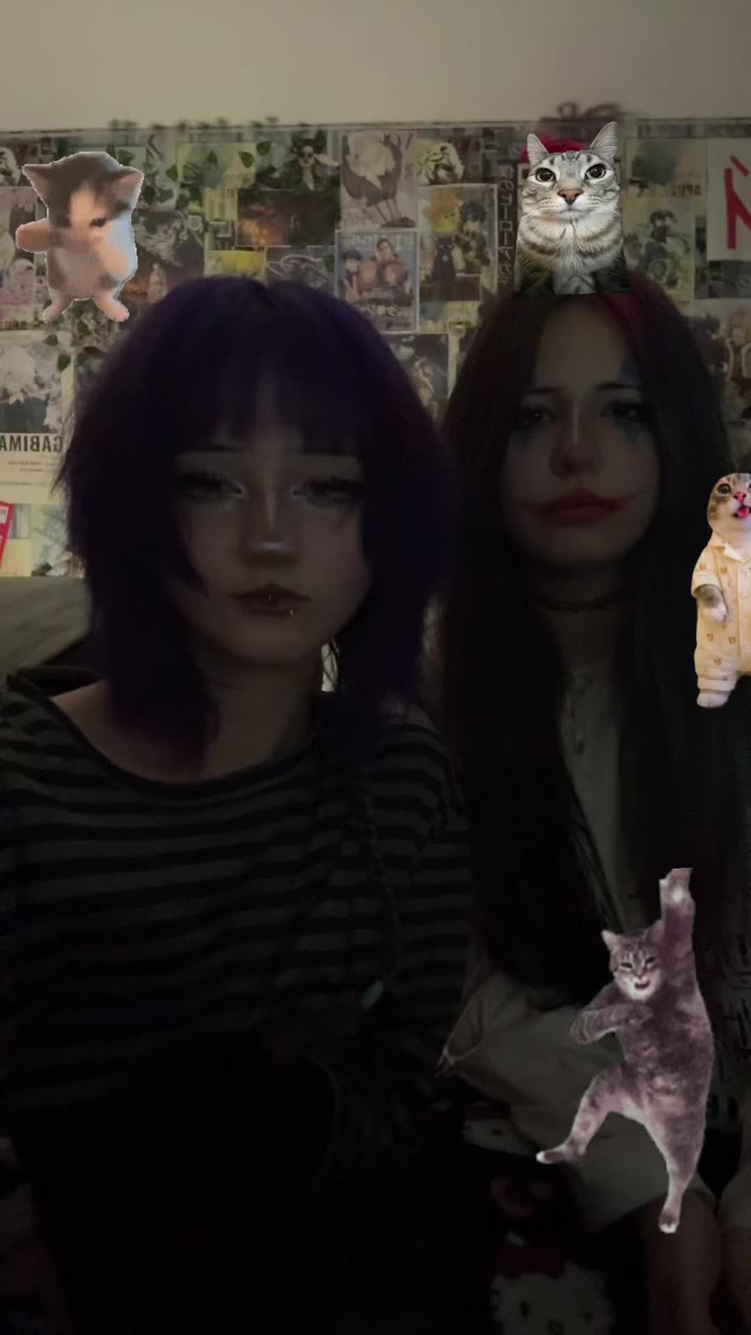@aloraxs