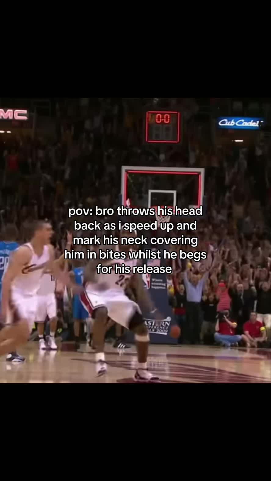 @sunflower lebron