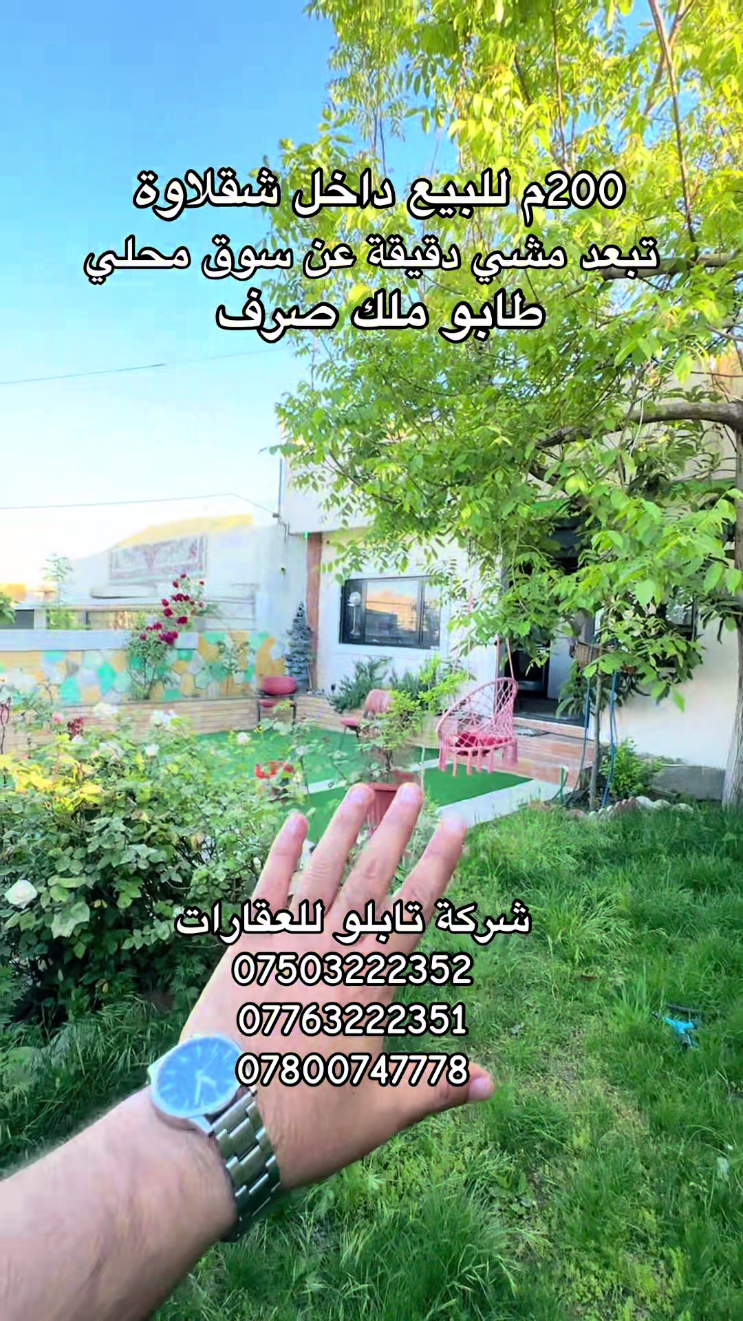 @شاليهات شقلاوة