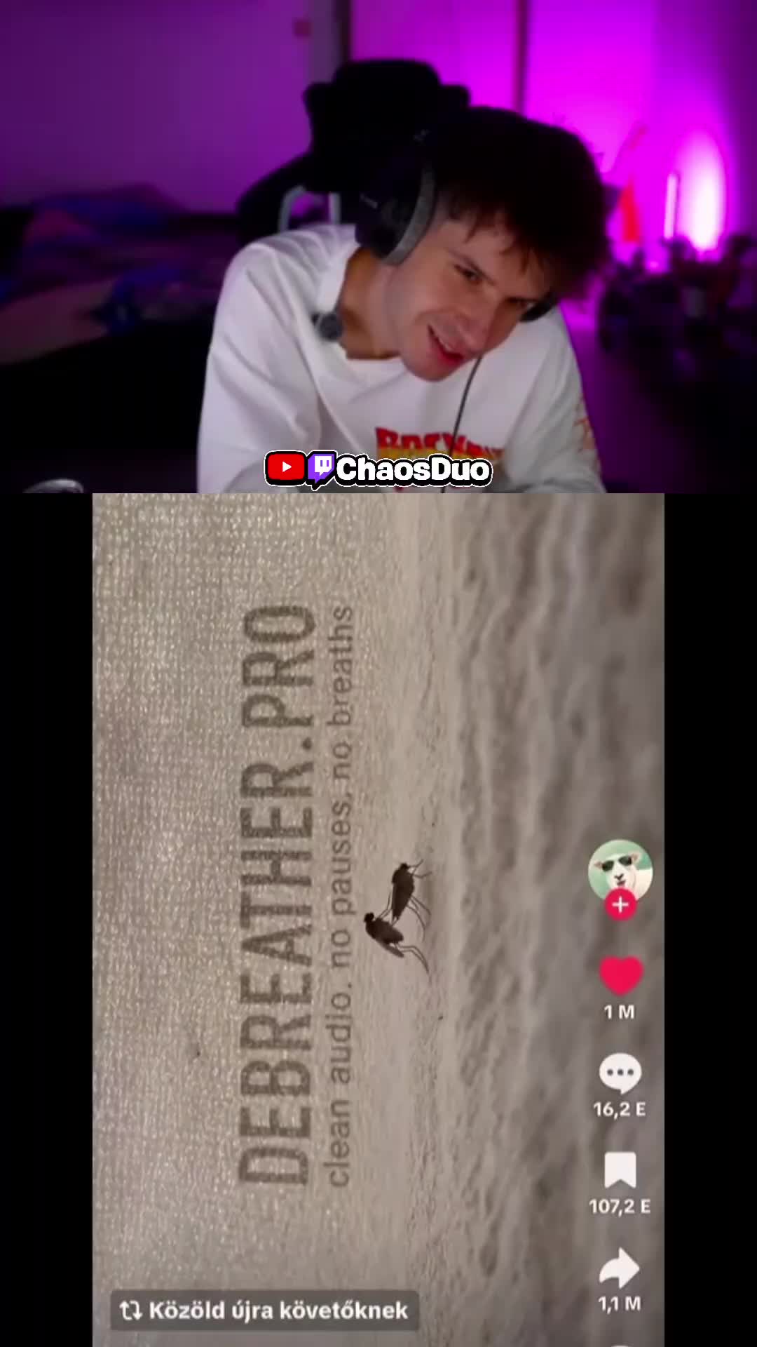 @77patrik