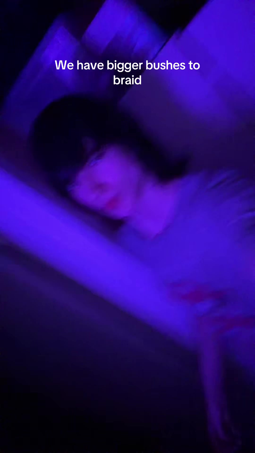 @bushvoid