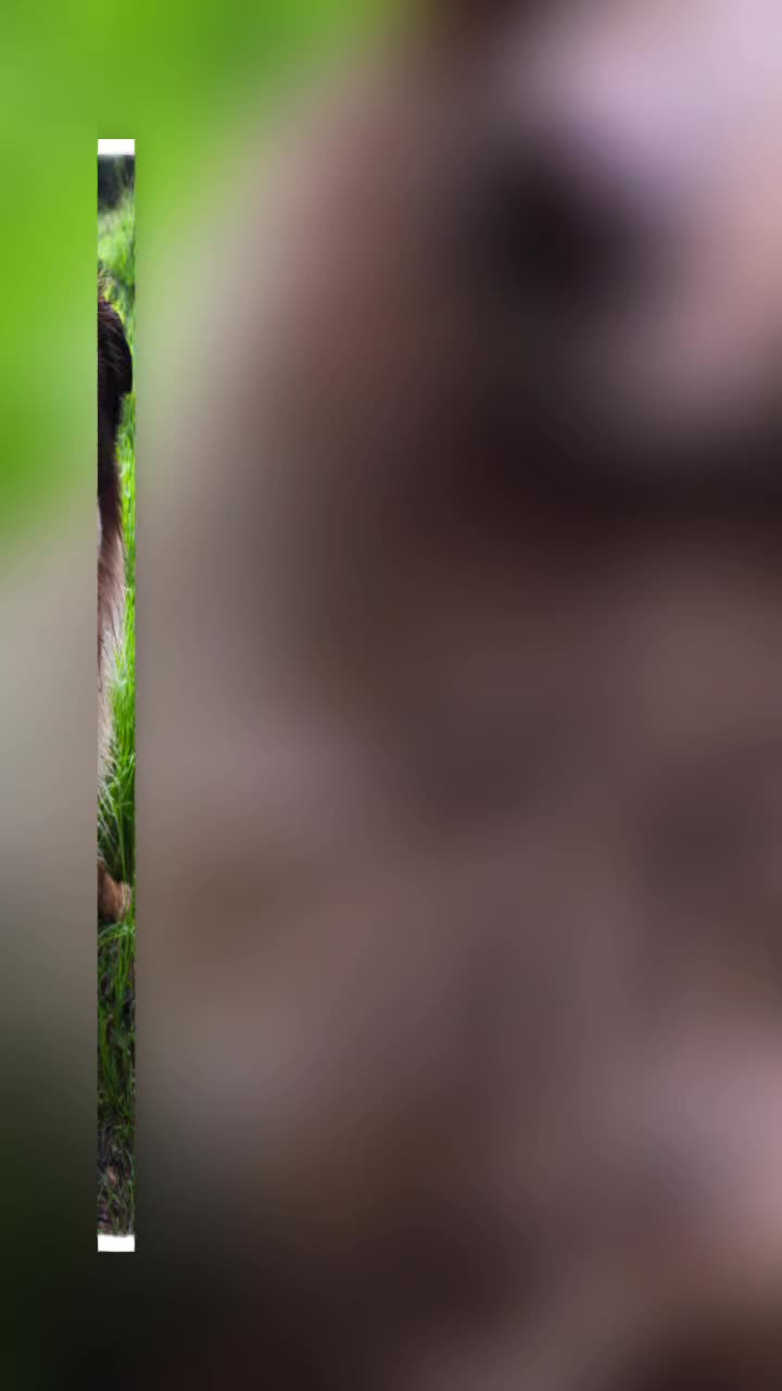 @martinabreitner88