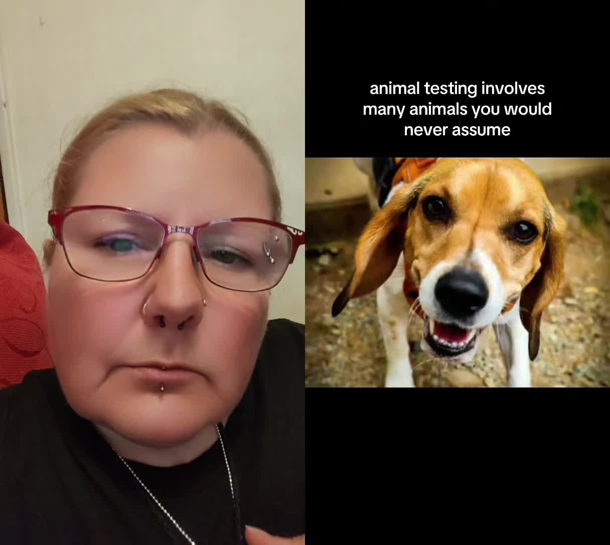 @melloveingtheparanomal👻👻