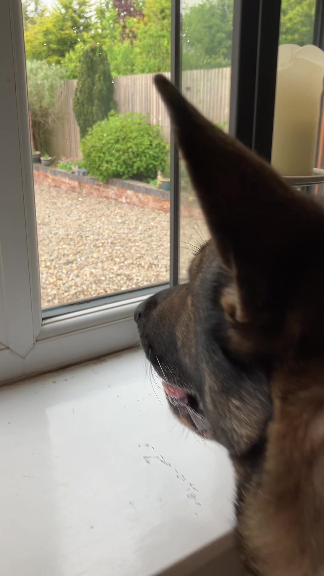 @Crazy GSD Lady