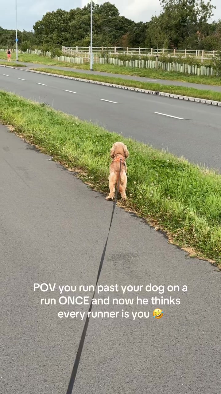 @Rach & Milo 🧡